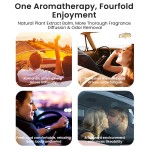 Car Diffuser Factory - MULAN Solid Wood Clip Long Lasting