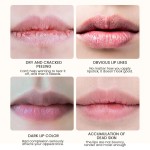 Lip Care Manufacturer - MULAN OEM Private Label Long Lasting Honey