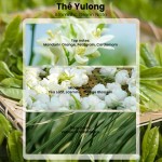 Car Diffuser Factory - MULAN Solid Wood Clip Long Lasting