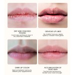 Lip Care Factory - MULAN High Quality Anti Crack Repair Nourishing