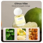 Ladies Perfume Factory - MULAN Premium Fresh Citrus Fruity Floral