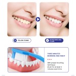 Toothpaste Factory - MULAN High Quality Adult Instant White