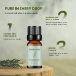 Essential Oil Factory - MULAN Organic Rosemary Natural Moisturizing