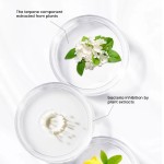 Air Freshener Manufacturer - MULAN OEM Custom Eco Friendly Home