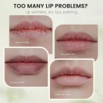 Lip Balm Factory - MULAN Coconut Oil Non Paraben Premium