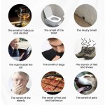 Air Freshener Manufacturer - MULAN Private Label Plant Extract Remove