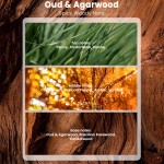 Car Diffuser Factory - MULAN Solid Wood Clip Long Lasting