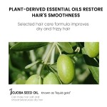 Hair Essential Oil Factory - MULAN Organic Perfumed Jojoba Sunflower