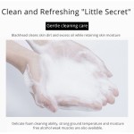 Cleansing Mud Mask Factory - Custom Chlorophyll Amino