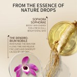 Freeze-Dried Mask Supplier - Private Label Centella Powder