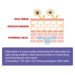 Baby Butt Cream Manufacturer - Bulk Organic Soothing