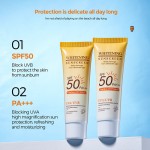 Whitening Sunscreen Supplier - Bulk Mild Non-irritating