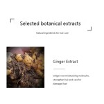 Ginger Shampoo Supplier - Custom Herbal Anti-hair Loss