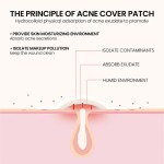 Acne Patch Manufacturer - Bulk Hydrocolloid Invisible
