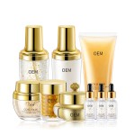 Gold Serum Set Supplier - Custom Korean Anti Aging