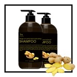 Ginger Shampoo Factory - OEM Anti Dandruff Black