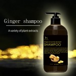 Ginger Shampoo Factory - OEM Anti Dandruff Black
