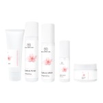 Beauty Cosmetic Set Factory - Custom Japan Sakura Formula