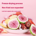 Freeze Dried Snacks Manufacturer - Assorted Fruit Vegetable Crisps