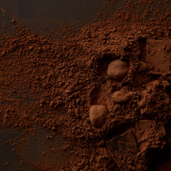 Cocoa Powder Manufacturer - Direct Factory Unalkalized Raw Beverage