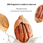 Organic Nuts Factory - New Arrival Pecan Large Granules Cream Flavor