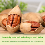 Organic Nuts Factory - New Arrival Pecan Large Granules Cream Flavor