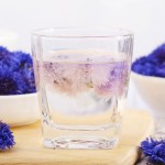 Dried Flowers Manufacturer - High Quality Natural Cornflower Bulk