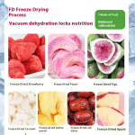 Freeze Dried Fruit Factory - Mixed Dried Fruit Assorted Crisps Kids