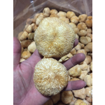 Hericium Factory - Direct Sale Fujian Bulk Dried AD Process