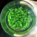 Raw Tea Factory - 2025 New Bulk Kuding Tea Sichuan Qingshan