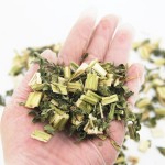 Organic Herbs Manufacturer - Pure Motherwort Female Fertility Estrogen