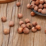 Lotus Seeds Manufacturer - Hunan Glutinous Red Skin Dried with Cores