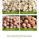 Lotus Seeds Manufacturer - Hunan Glutinous Red Skin Dried with Cores