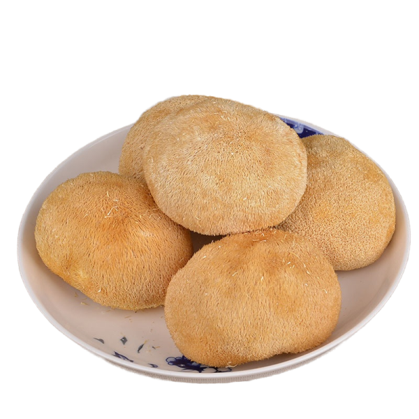 Hericium Factory - Direct Sale Fujian Bulk Dried AD Process