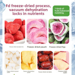 Freeze Dried Snacks Manufacturer - Assorted Fruit Vegetable Crisps