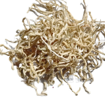 Dried Papaya Manufacturer - Guangxi 500g Sweet Salty Green Ingredients