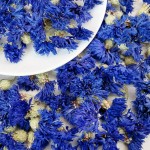 Dried Flowers Manufacturer - High Quality Natural Cornflower Bulk