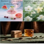 Luxurious Perfume Manufacturer - Bulk 100ml Original