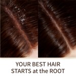 Scalp Oil Manufacturer - Wholesale 50ML Pre-wash