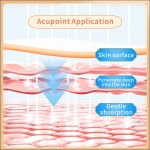 Neck, Shoulder, Waist & Leg Relief Patch