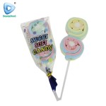 Flower Shape Marshmallow Lollipop Manufacturer - Fruit Flavor