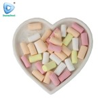 Chalk Shape Mini Marshmallow Factory - Colored Fruity