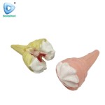 Ice Cream Center Filling Marshmallow Factory - Halal