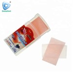 Breath Strips Paper Mint Supplier - Mix Fruit flavour