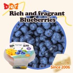 Jelly Pudding Factory - Soft Candy Cheese Fruit Flavor