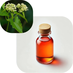 Customised Cell Activation Luxury Face Serum Mikania Micrantha Botanical Extract Enhancing Skin Cell Daily Chemicals