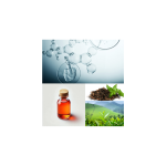 Gloryage Imdermalab Soothetea J.X.Rich Catechins Organic Green Tea Extract Liquid Quality Antioxidant and Whitening