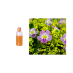 Gloryage Violetex Customized Anti-Aging Moisturization Products Cream Ingredients Energize Cells and Promote Metabolism