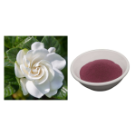 Gloryage Gardenia Paradis Cosmetic Grade Semi-Permanent Lip Pigments GP-Red+ Pink Color Dye for Emulsion and Lotion