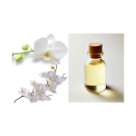 Phalaenopsis Sogo Yukidian Flower Extract for Daily Chemicals Skin Brightening Spot Lighting Anti-Photoaging Benefits